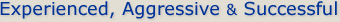 Experienced Attorney